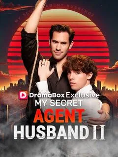 My Secret Agent Husband 2