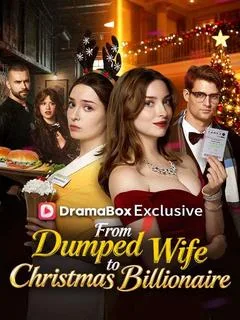 From Dumped Wife to Christmas Billionaire