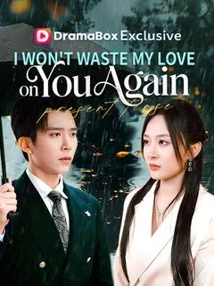 I Won't Waste My Love on You Again