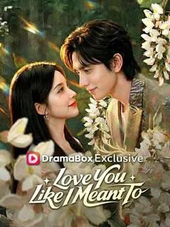 Love You Like I Meant To