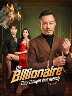 The Billionaire They Thought Was Nobody