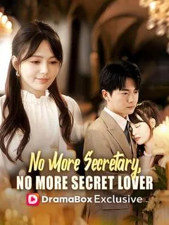 No More Secretary, No More Secret Lover（DUBBED）