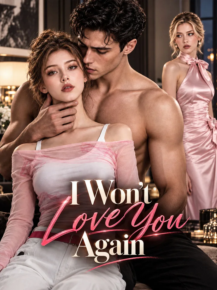 I Won't Love You Again