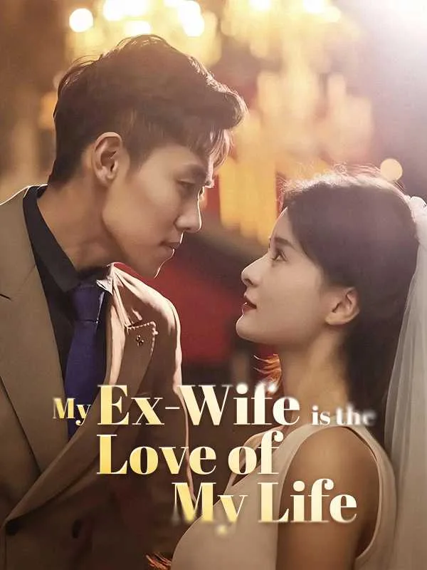 My Ex-Wife is the Love of My Life