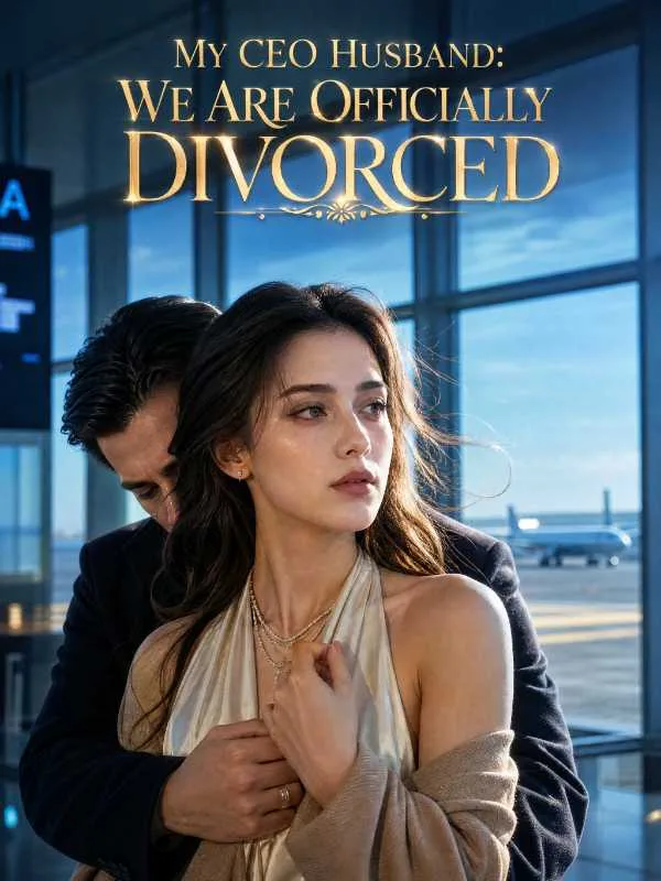 My CEO Husband：We Are Officially Divorced