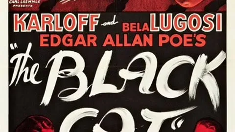Black Cat