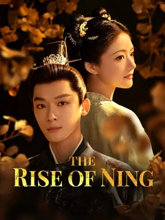 The Rise of Ning
