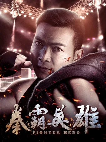 Fighter Hero