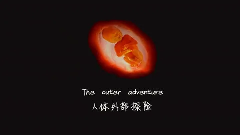 人体外部探险