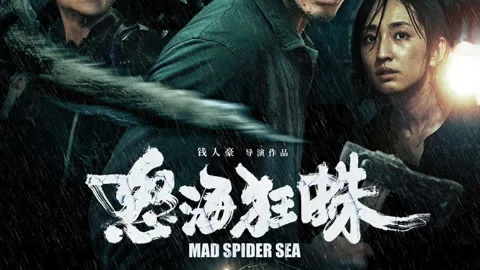 Mad Spider Sea