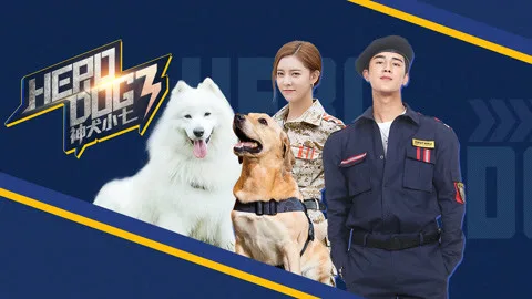 Hero Dog (Season 3)