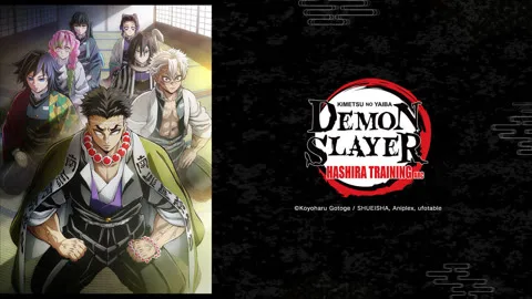 Demon Slayer: Kimetsu no Yaiba Hashira Training Arc
