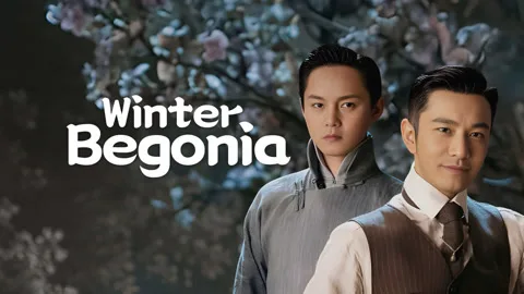Winter Begonia