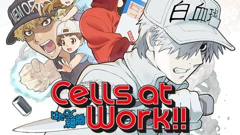 Cells at Work! S2