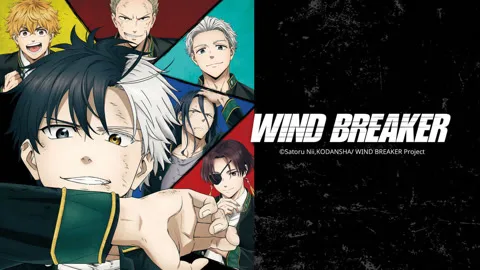 WIND BREAKER