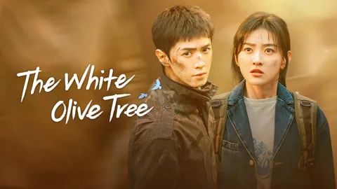 The White Olive Tree