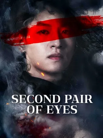 Second pair of eyes
