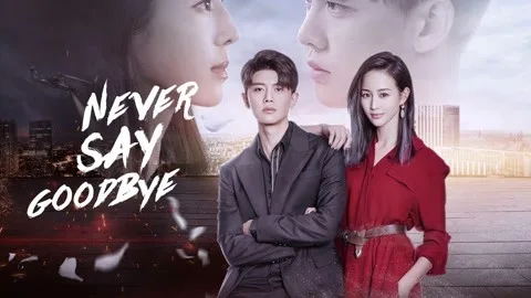 Never Say Goodbye