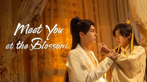 Meet You at the Blossom