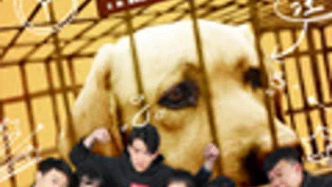 Save Dogs