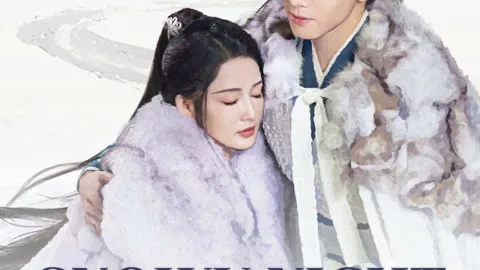 Snowy Night Timeless Love