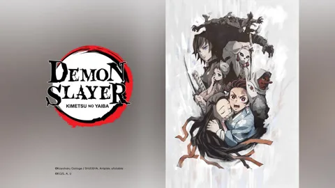 Demon Slayer: Kimetsu no Yaiba Tanjiro Kamado, Unwavering Resolve Arc