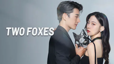 Two Foxes