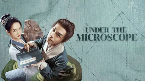 Under the Microscope