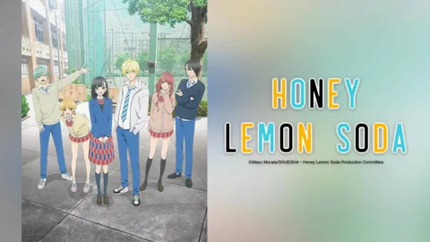 Honey Lemon Soda