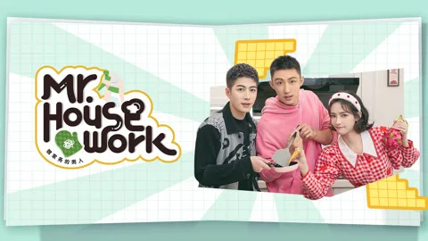 Mr. Housework 3