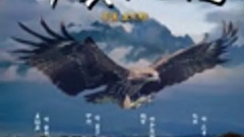 Broken Eagle