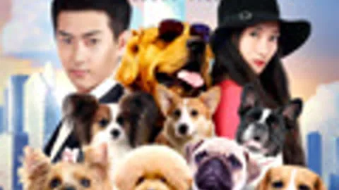 Cute Dog: Lethal Virus