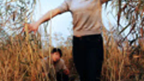 一路抛行
