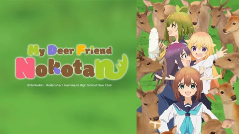 My Deer Friend Nokotan