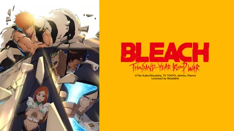 BLEACH: Thousand-Year Blood War - The Calamity