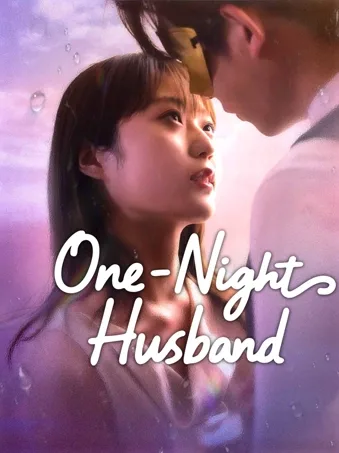 One-Night Husband