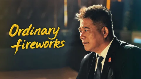 Ordinary Fireworks