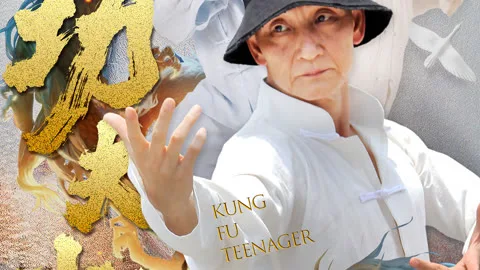 功夫小将