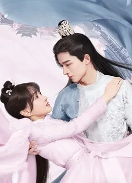 Your Sensibility My Destiny: Highlights
