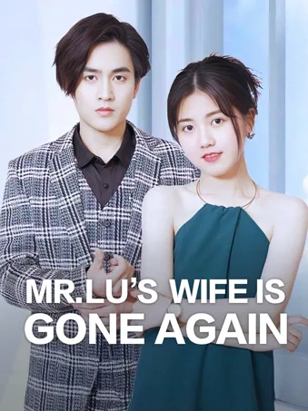 Mr. Lu's Wife Is Gone Again