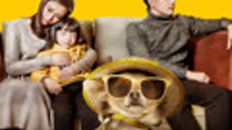 House and Dog