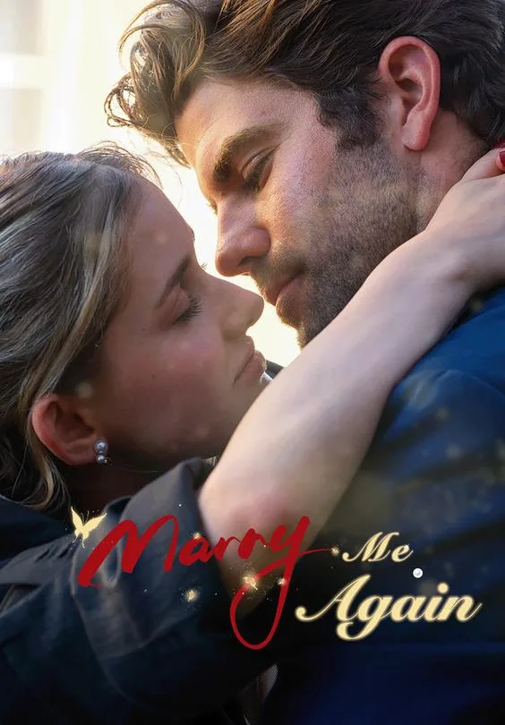 Destined Love:Marry Me Again