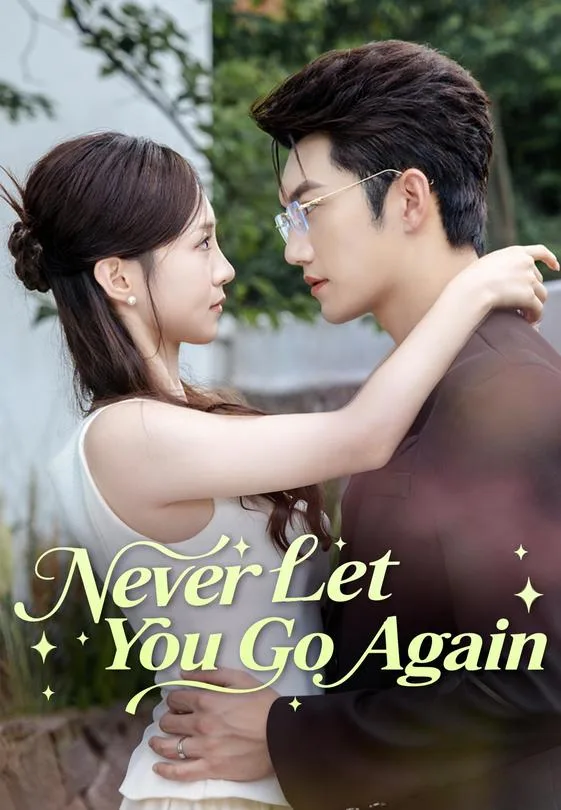 Never Let You Go Again