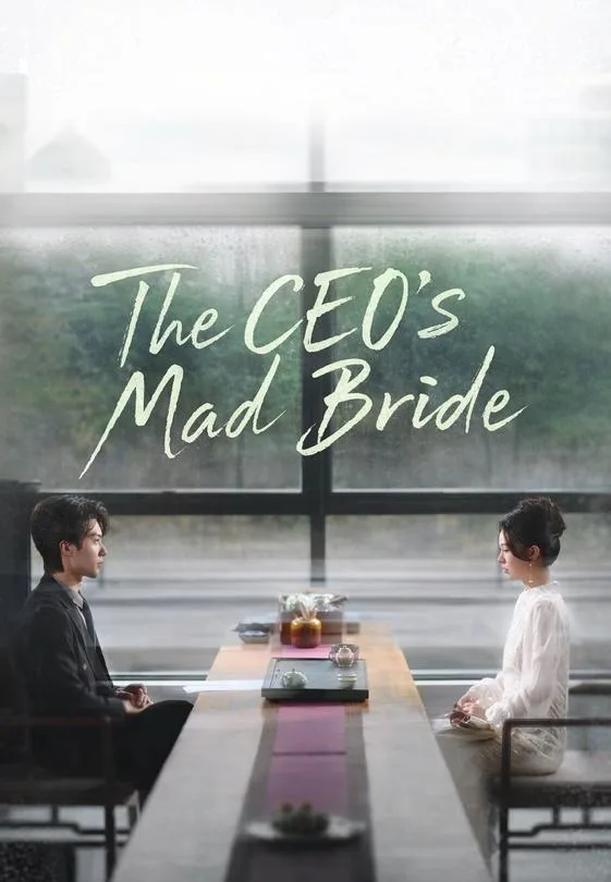 The CEO's Mad Bride