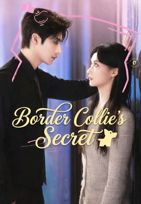 Border Collie's Secret