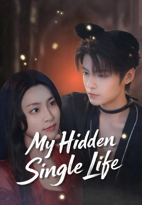 My Hidden Single Life