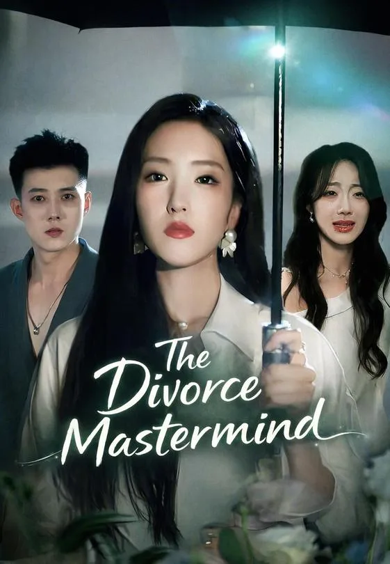 The Divorce Mastermind