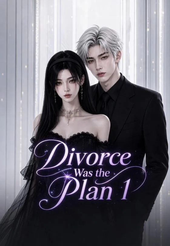 Divorce Was the Plan 1