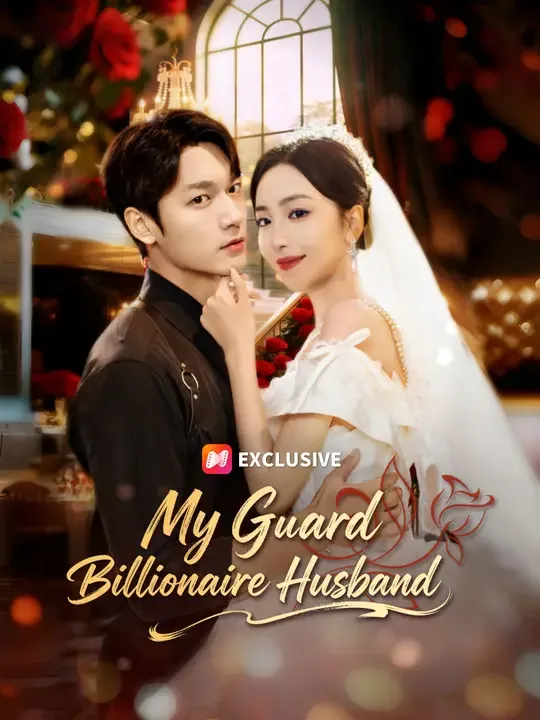 My Guard Billionaire Husband
