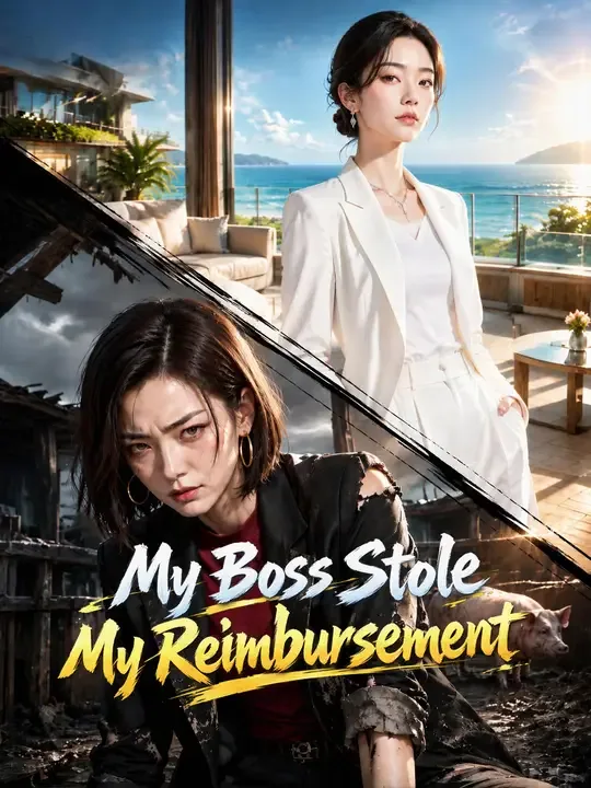 My Boss Stole My Reimbursement
